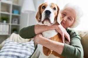 老年妇女拥抱宠物狗|疗养院的情感支持动物